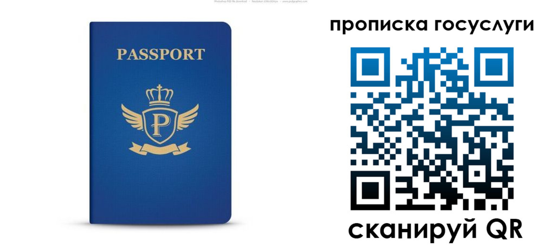 прописка для школы в Фокино